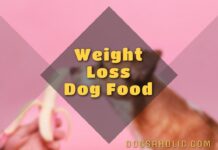 Weight Loss Dog Food