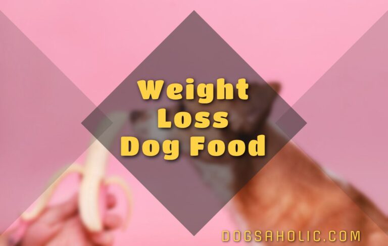 Weight Loss Dog Food