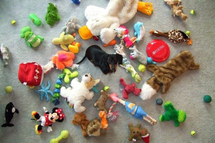 Dog Toys to Keep Them Busy