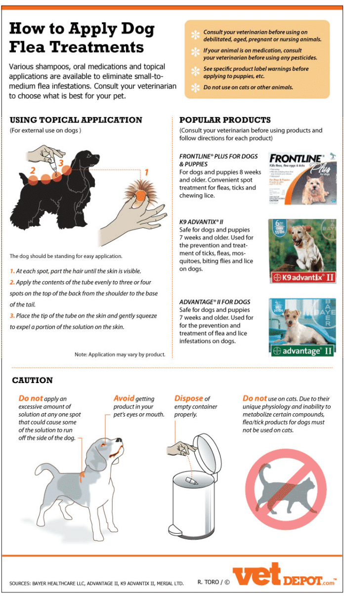 Flea treatments for dog infographic