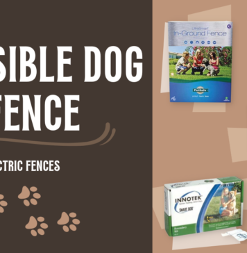 Best Invisible Dog Fence