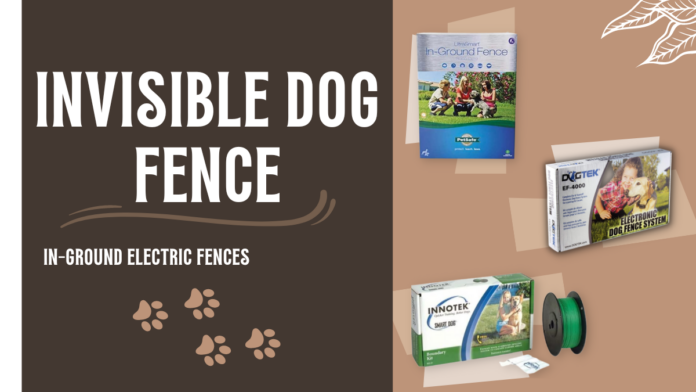 Best Invisible Dog Fence