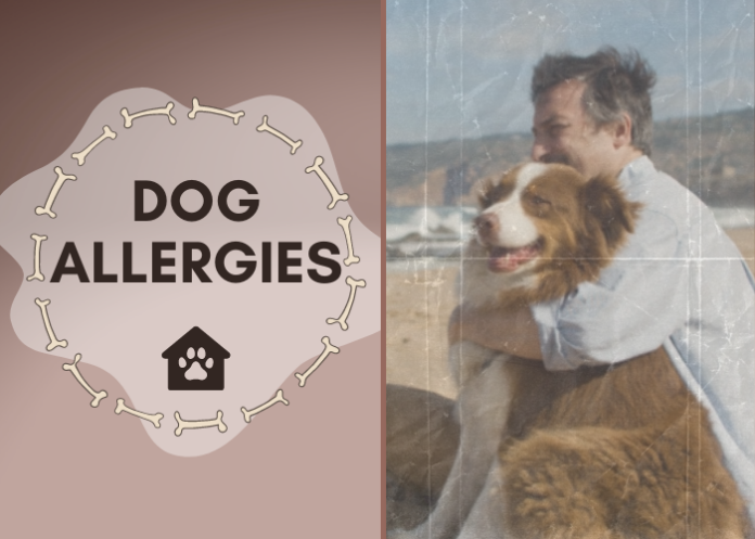 Common Dog Allergies – Symtpoms, Treatment & Prevention