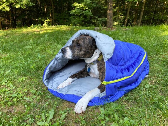 Doesn’t fall off Dog Sleeping Bag