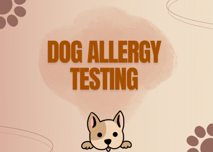 Dog Allergy Testing – the Ruff Reality