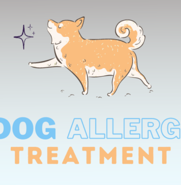 Dog Allergy Treatment