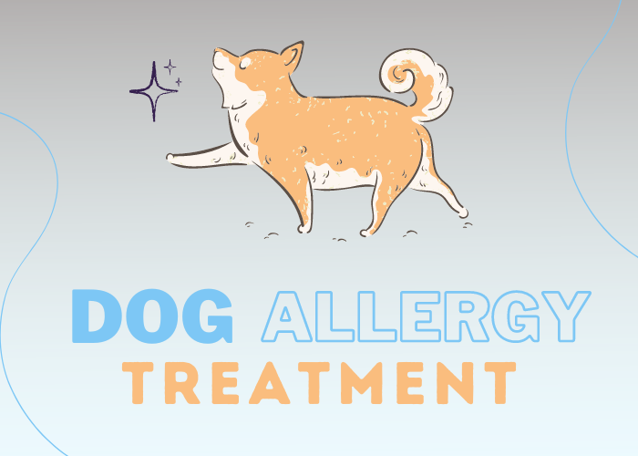 Dog Allergy Treatment