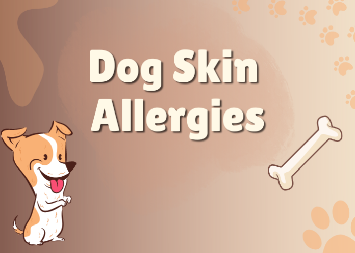 Dog Skin Allergies - How to Help Your Dog Overcome Itchy Skin