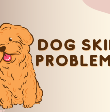 Dog Skin Problems