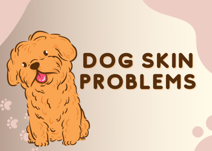 Dog Skin Problems
