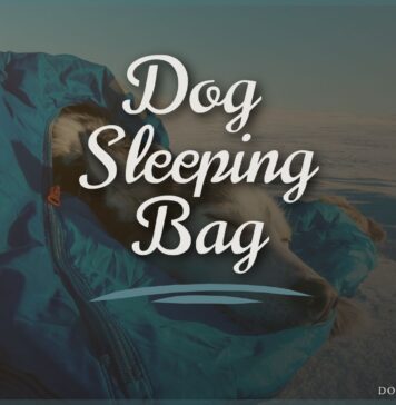 Dog Sleeping Bag
