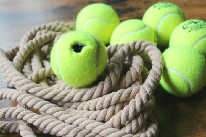 Dog Toy With a Tennis Ball and Rope