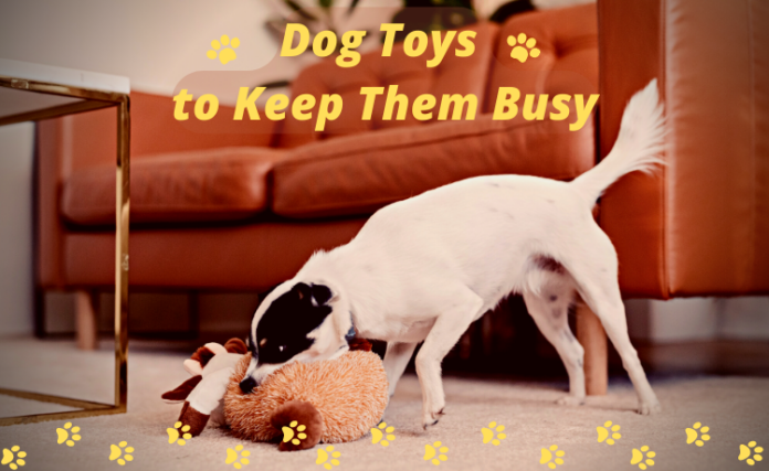 Dog Toys to Keep Them Busy