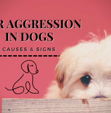 Fear Aggression in Dogs