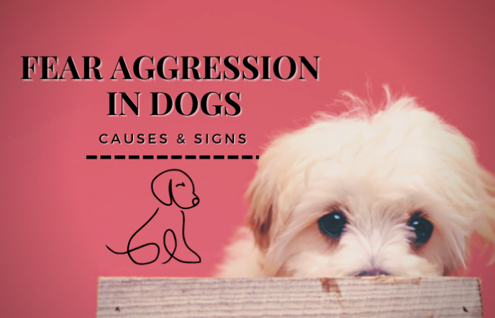 Fear Aggression in Dogs
