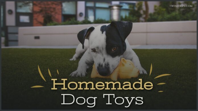 Homemade Dog Toys