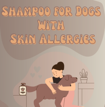 How to Choose a Right Shampoo for Dogs With Skin Allergies