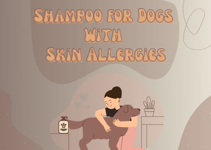 How to Choose a Right Shampoo for Dogs With Skin Allergies