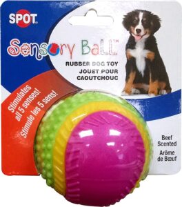 Scented toys
