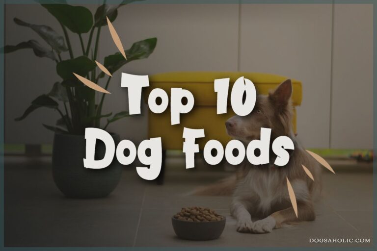 Top 10 Dog Foods