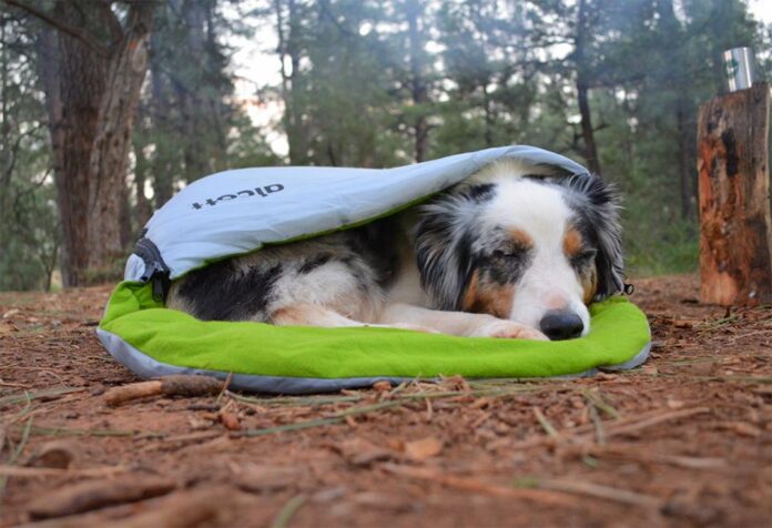 Warmth Dog Sleeping Bag