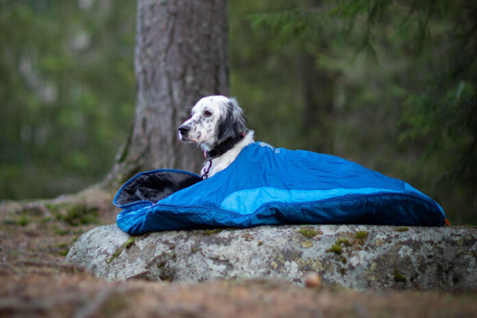 What Are the Different Types of Dog Sleeping Bags