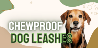 BEST Chewproof Dog Leashes