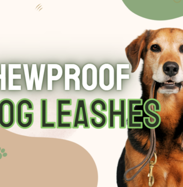 BEST Chewproof Dog Leashes