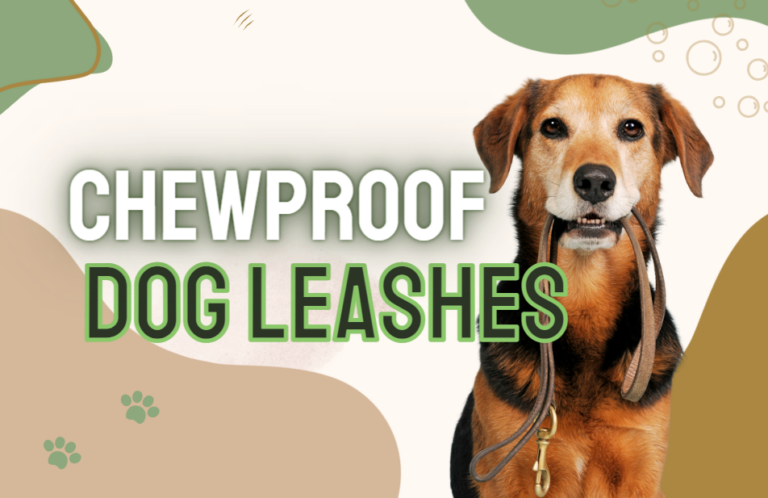 BEST Chewproof Dog Leashes