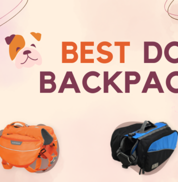 Best Dog Backpack