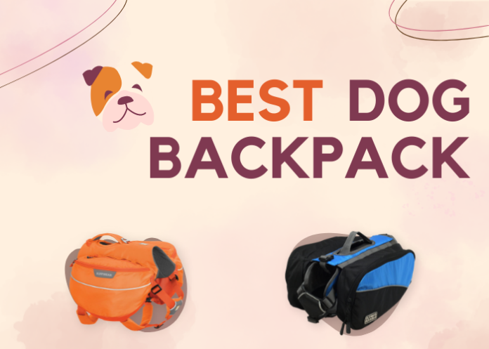 Best Dog Backpack