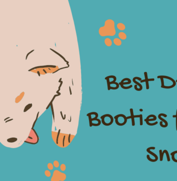 Best Dog Booties for Snow