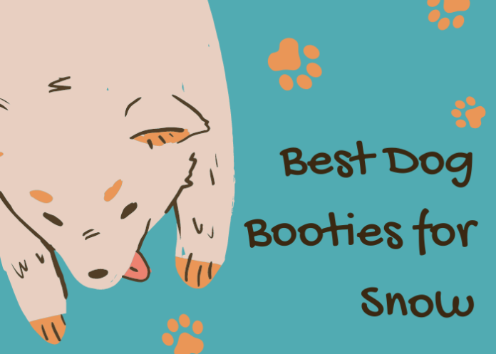 Best Dog Booties for Snow