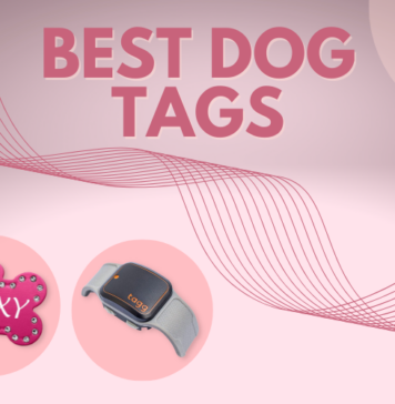 Best Dog Tags