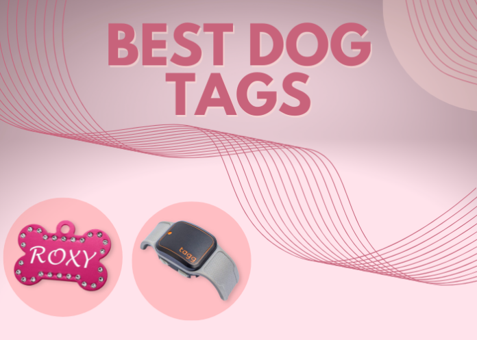 Best Dog Tags