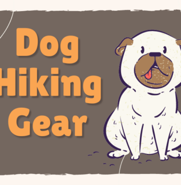 Dog Hiking Gear