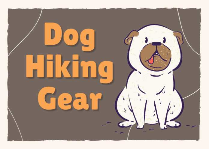 Dog Hiking Gear