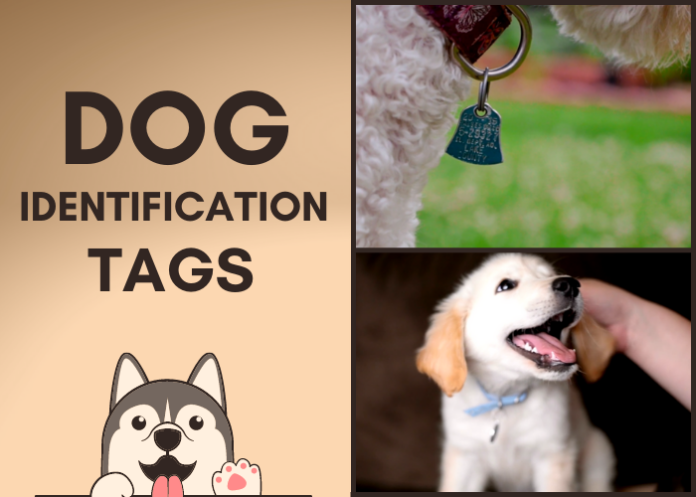 Dog Identification Tags