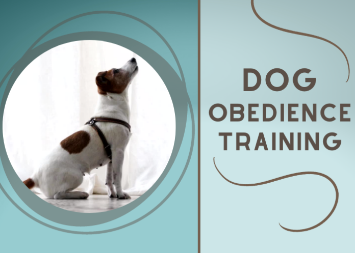 Dog Obedience Training