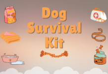 Dog Survival Kit