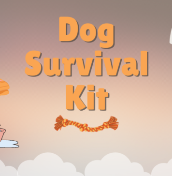 Dog Survival Kit