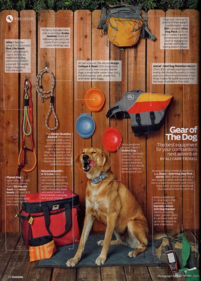 Dog gear for hiking