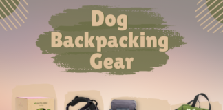 DogBackpackingGear
