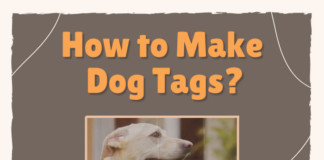 How to Make Dog Tags