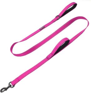 Max and Neo Double Handle Traffic Dog Leash Reflective