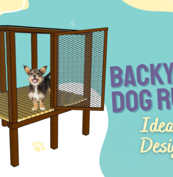 Backyard Dog Run Ideas & Designs