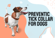 Best Dogs Preventic Tick Collar