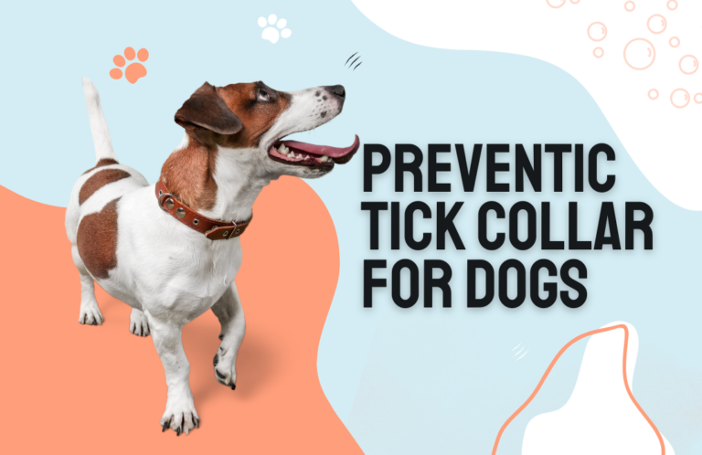 Best Dogs Preventic Tick Collar