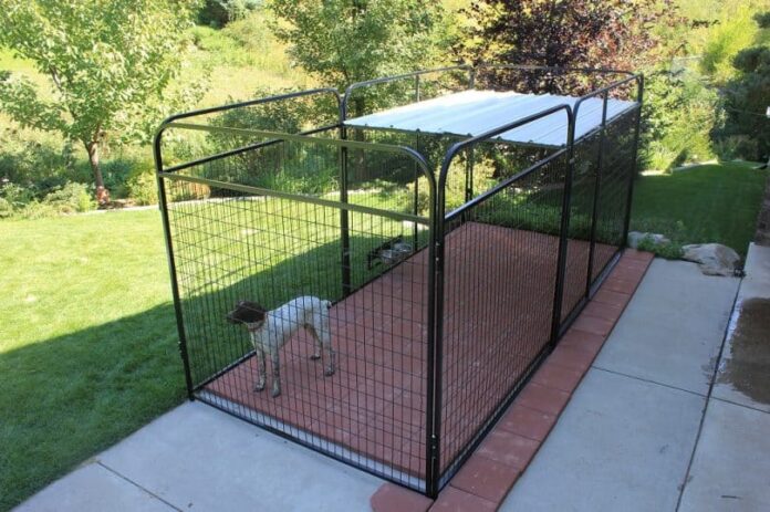 Build a roof for dog pen