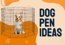 Dog Pen diy Ideas
